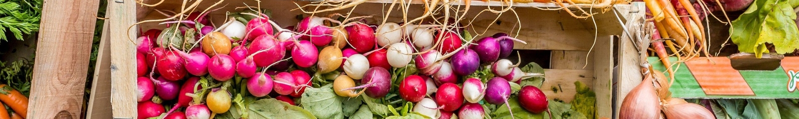 Veg (cropped)